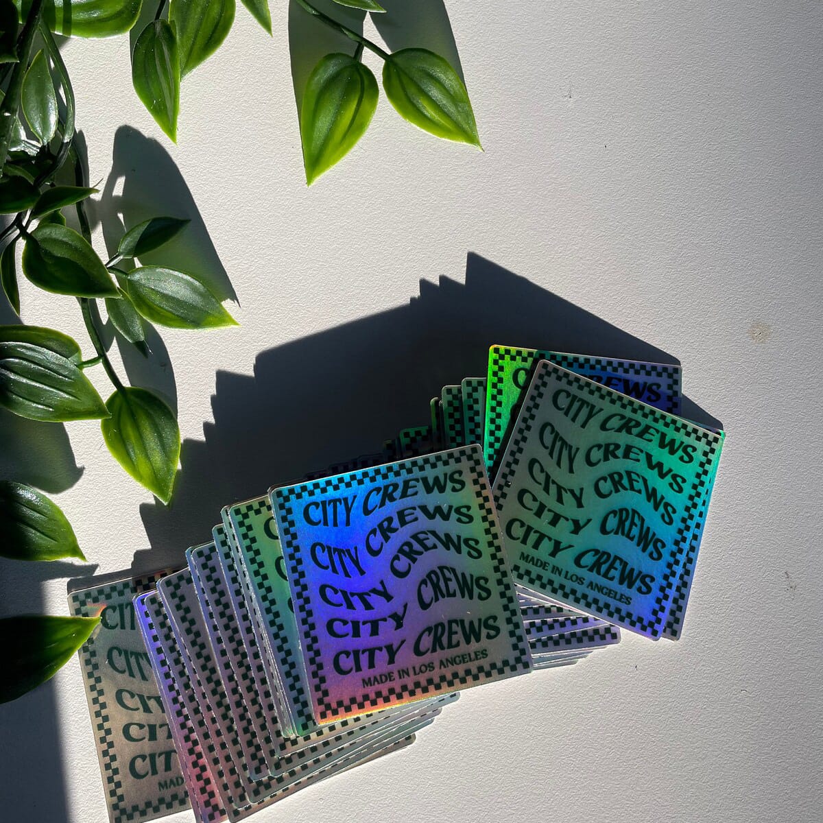 Holo1 JSEIWOkbdO